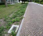 Verlaagd plantvak, verlaagde band, slokop Sullivandreef Tilburg03