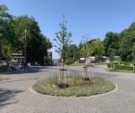 Field visit after reconstruction- 4th June 2022 - credit by Antal Zuurman