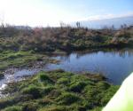 Glamis Crescent, Inchture Pond