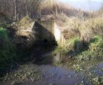 Glamis Crescent, Inchture Pond