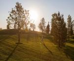 View of the park. Multifunctional lawn