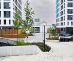 View of planter system on green roof