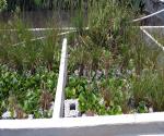 CONSTRUCTED WETLANDS AT ERIS USAC