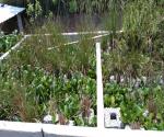 CONSTRUCTED WETLANDS AT ERIS USAC