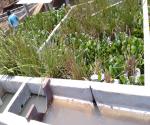 CONSTRUCTED WETLANDS AT ERIS USAC
