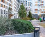 View of the green roof of the yard space