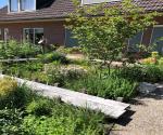 Foto tuin (3)