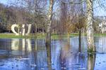 IJs op de wadi rondom de bomen