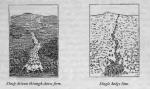 Illustration of the Tutira Farm Lands